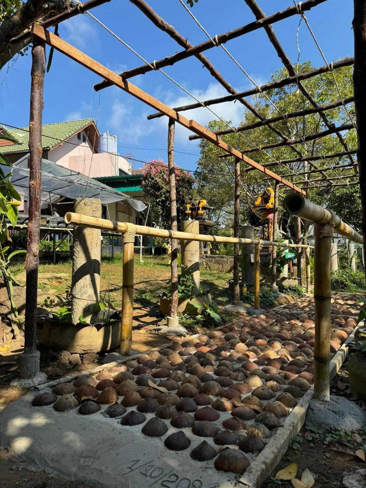Greenheart Garden View Camp Phuket Παραλία Κάτα Εξωτερικό φωτογραφία