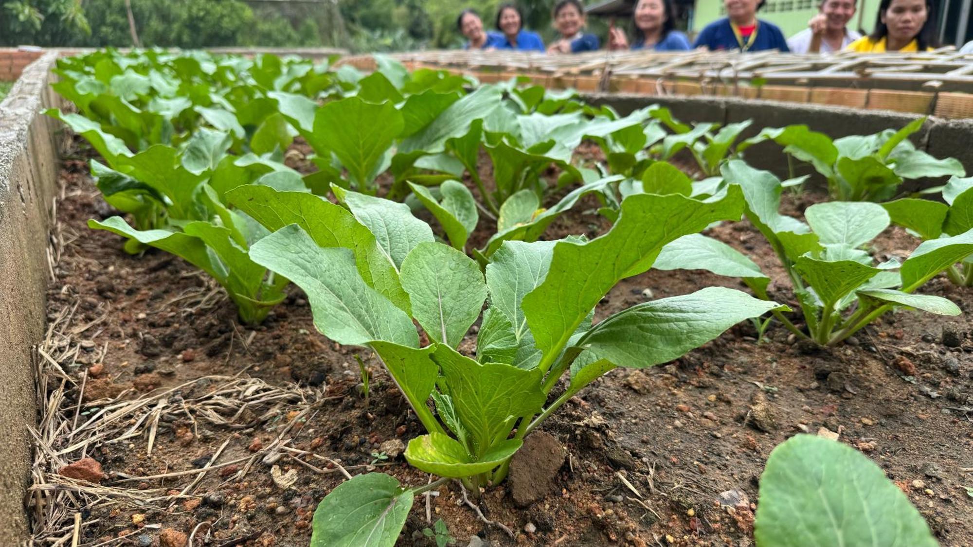 Greenheart Garden View Camp Phuket Παραλία Κάτα Εξωτερικό φωτογραφία